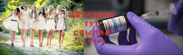 крисы Богородицк