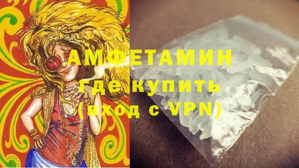 крисы Богородицк