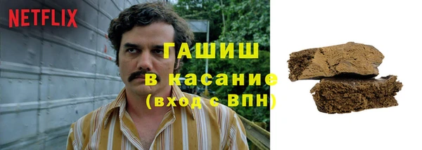крисы Богородицк