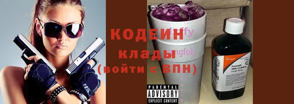 крисы Богородицк