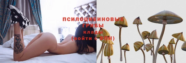 гашишное масло Богданович
