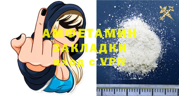 крисы Богородицк