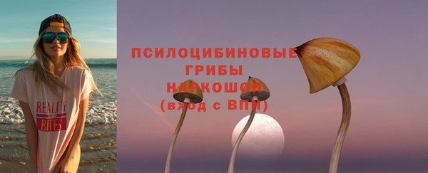 крисы Богородицк