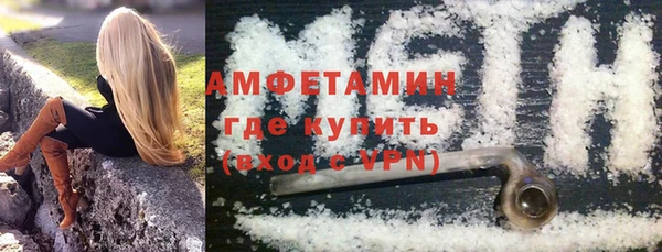 крисы Богородицк