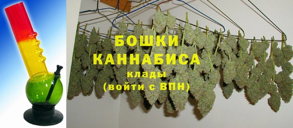 ПСИЛОЦИБИНОВЫЕ ГРИБЫ Богородск